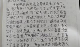 四年级下册语文四单元作文