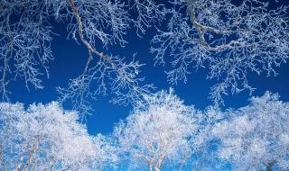 大雪节气谁是真正下雪王