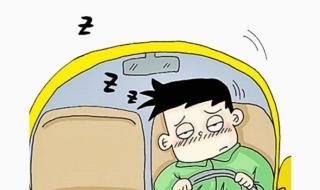 全是车的开车的双男主动漫