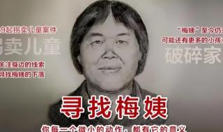 梅姨被曝已经抓到警方回应