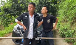 羊急了也跳墙完整观看