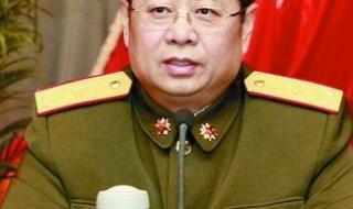 程兵获得国家赔偿了吗