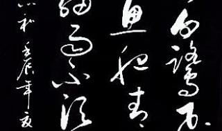 西塞山前白鹭飞下一句