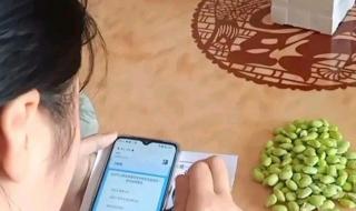 高考成绩在哪里查分数