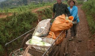 地震局辟谣攀枝花将地震