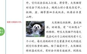 大熊猫的资料有哪些三年级下册 熊猫的资料三年级下册