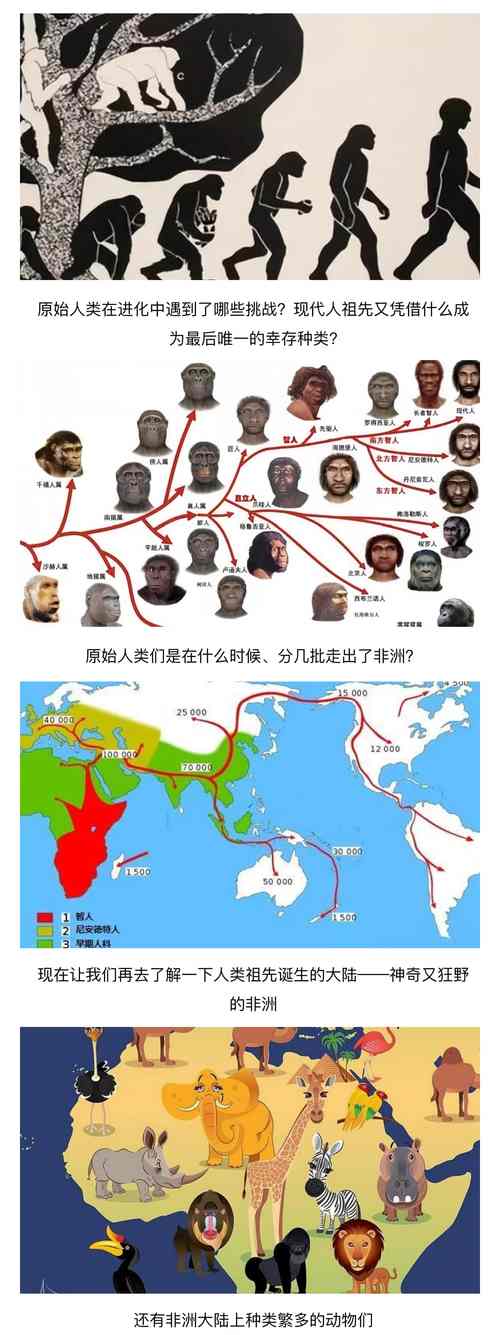 人类迁徙史（人类的迁徙史）
