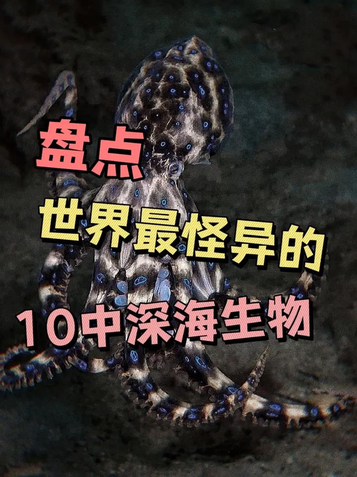 深海生物（深海生物科技股份有限公司怎么样）