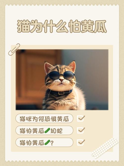 猫为什么怕黄瓜?(猫为什么怕黄瓜是真的吗)