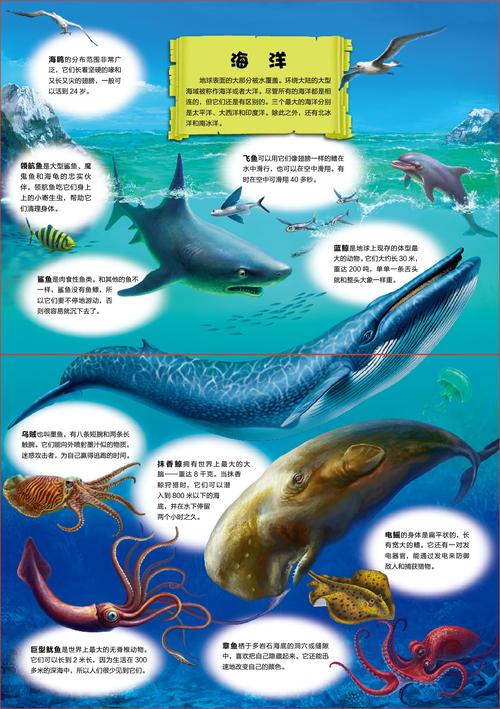 海洋奥秘（海洋奥秘内容简短50字）