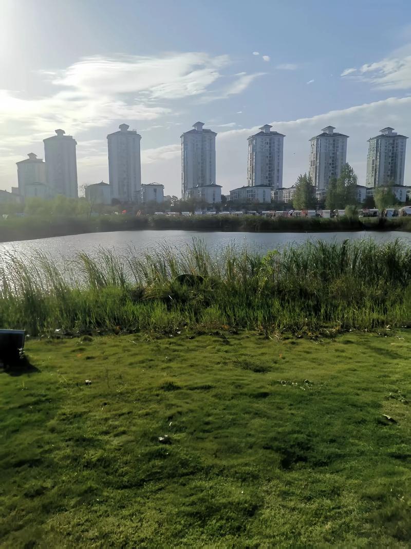 河南信阳天气（河南信阳天气30天）