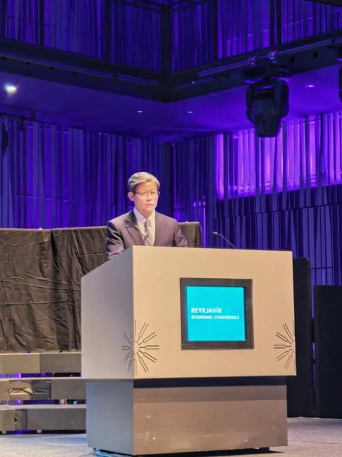 中国人民银行副行长宣昌能出席国际清算银行行长例会