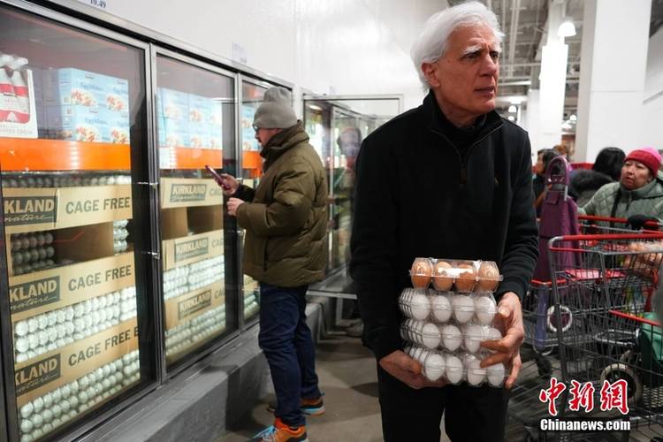 由于禽流感季节较温和 美国鸡蛋价格大幅下跌