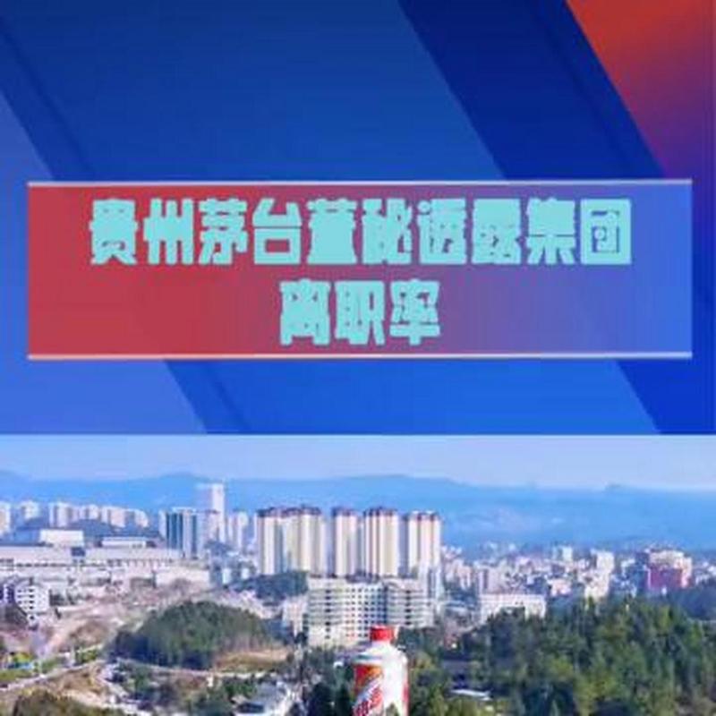 因涉嫌严重违法违纪，贵州茅台财务总监、董秘蒋焰被查