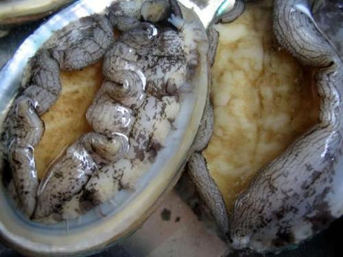 重庆市监局通报漂白鸡爪:一涉事企业被立案调查