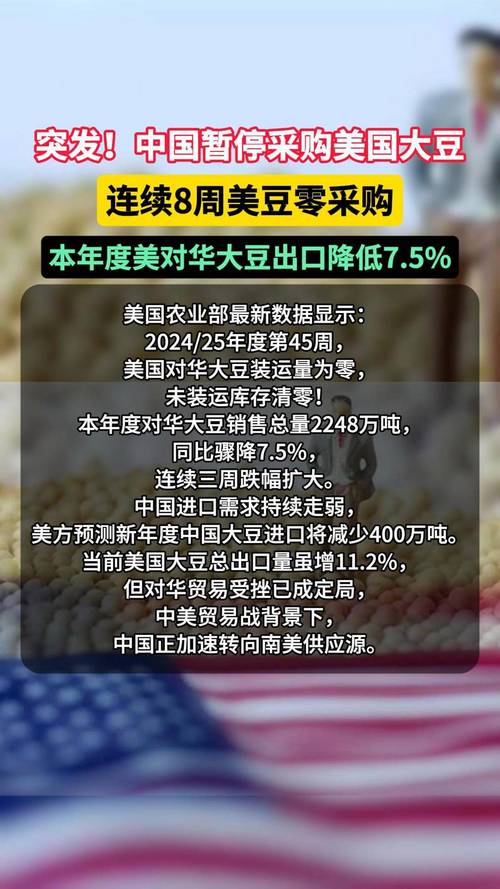 中美贸易谈判或推迟，大豆期货暴跌超3%