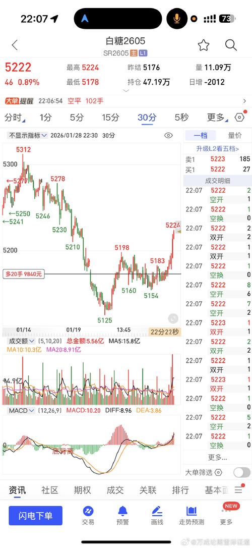 油价撬动糖价走强！全球供应格局生变，白糖期货反弹空间有多大？