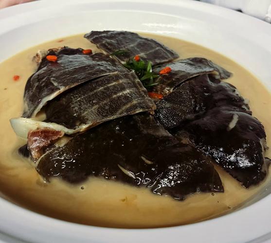 甲鱼怎么做法好吃（清汤甲鱼怎么做法好吃）