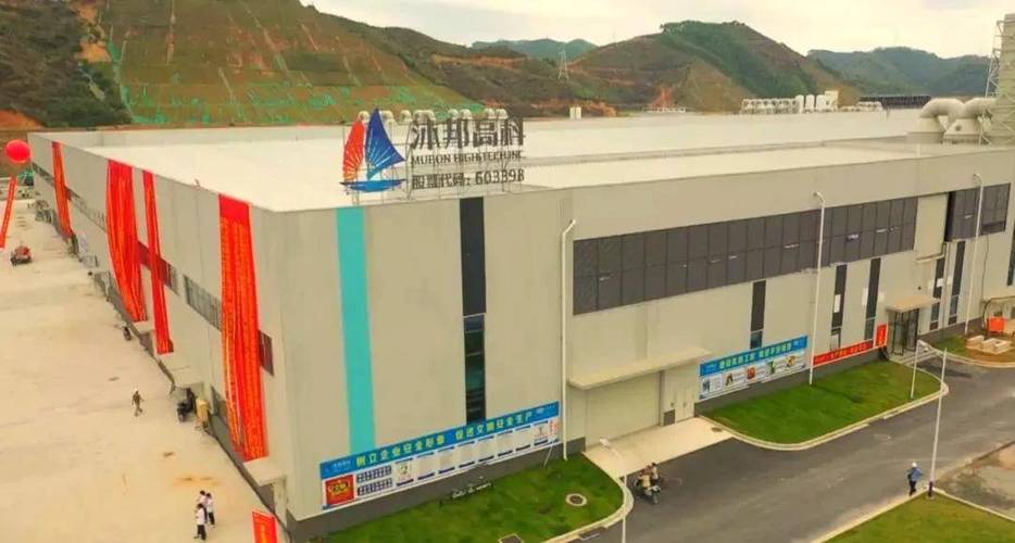 财务造假“罚单”落地	，*ST沐邦董事长廖志远辞职，“95后	”关联方“走到台前”能否解公司困局？