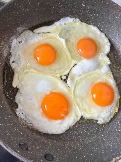 荷包蛋的做法视频（荷包蛋视频做法视频）