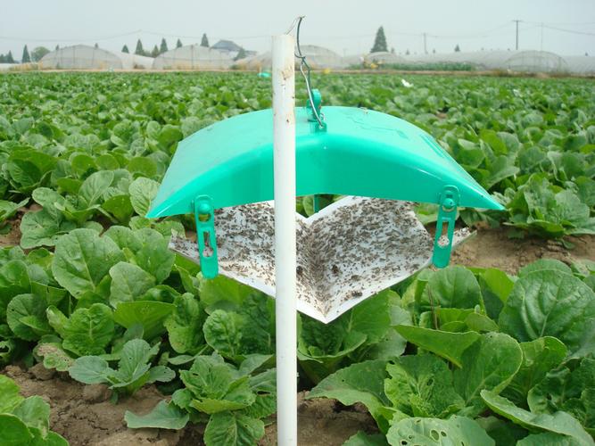 农业银行董事长谷澍：建议加强绿色投融资平台对接，促进绿色资本跨境流动