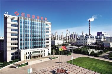 双欣材料:公司一期DMC项目优级品及电子级产品均实现一次性开车成功