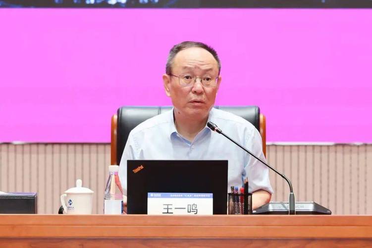 国务院发展研究中心原副主任王一鸣：“十五五	”服务消费将迎来发展最迅猛期