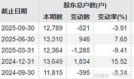 *ST熊猫8连板被停牌核查	，曾因信披违规被立案