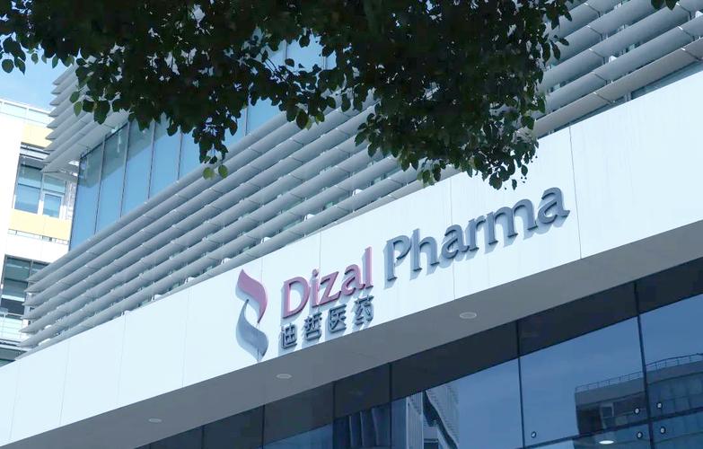 迪哲医药宣布新型肺癌靶向药获阳性顶线结果，CEO称是公司发展重大里程碑