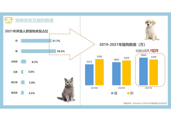 2025宠物保险保费规模继续狂飙，30亿元背后的“喜”与“忧”