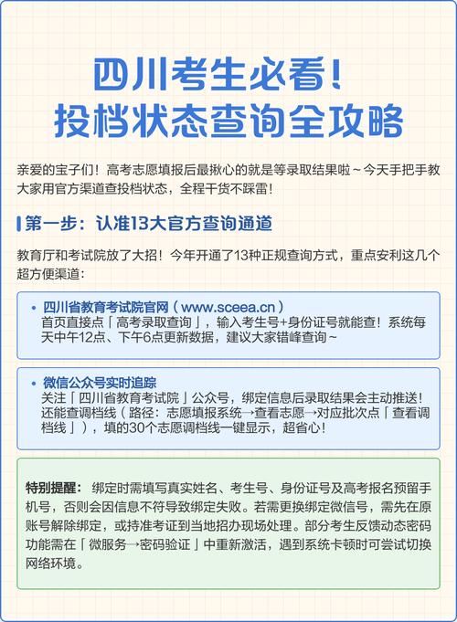 四川省教育考试院（四川省教育考试院体检报告查询）