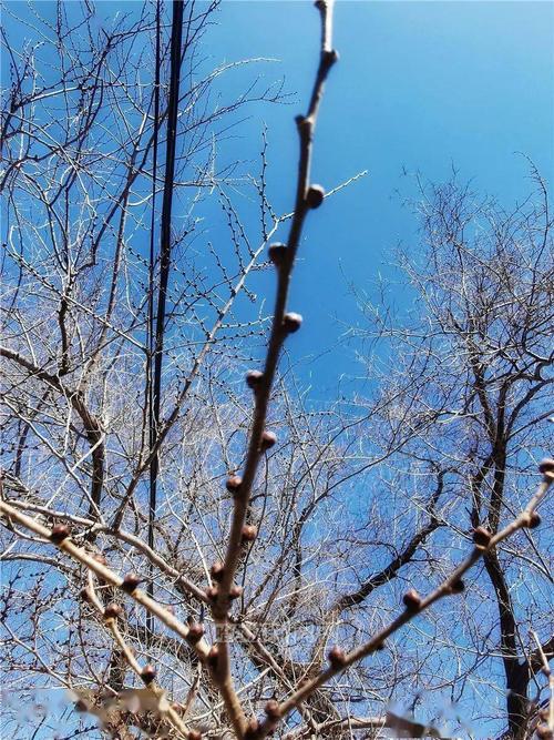 舒城天气预报（舒城天气预报24小时）