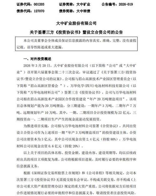 万华化学“助阵”，大中矿业锂盐“扩军	”迎最强外援