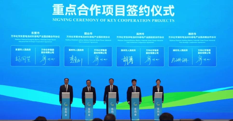 万华化学“助阵	”，大中矿业锂盐“扩军”迎最强外援