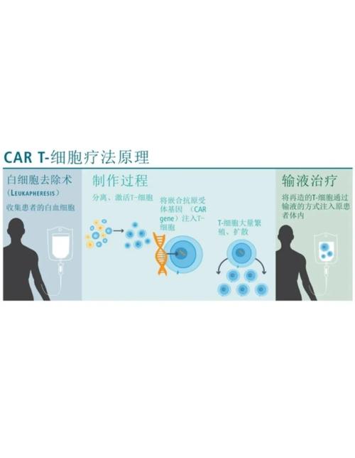 复星医药去年净利增超21%，CAR-T疗法纳入90余项商保