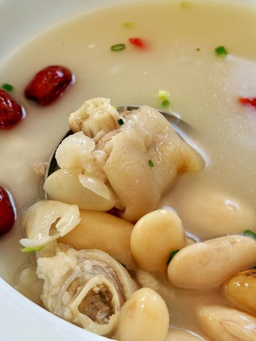 猪蹄汤的做法大全（猪蹄汤做法大全补气血）