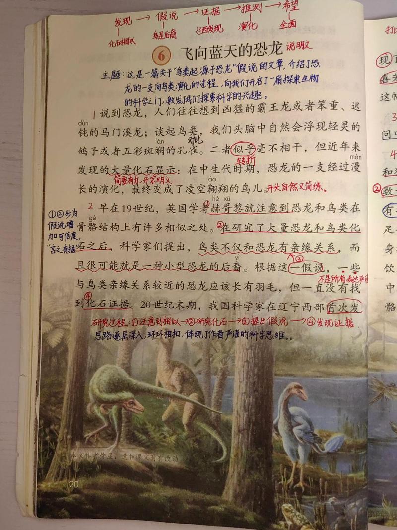 飞向蓝天的恐龙课后题答案（飞向蓝天的恐龙课后问题解答）