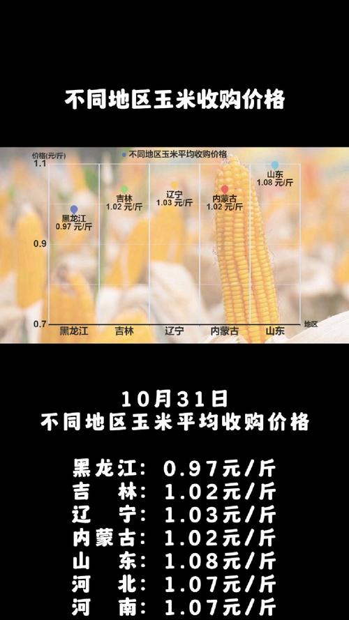市场调研总结：东北玉米种植地租成本上涨	，下一季玉米价格高开？