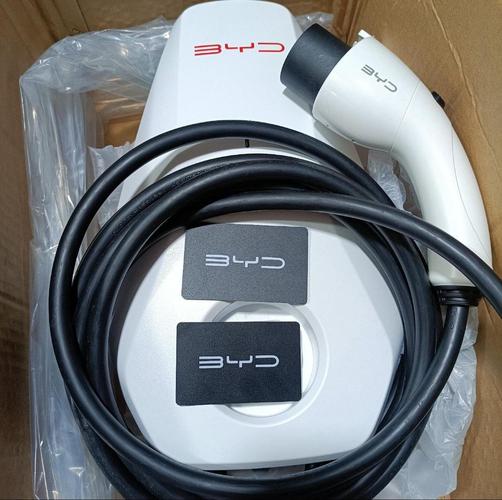 比亚迪：公司的闪充桩支持两把充电枪同时闪充